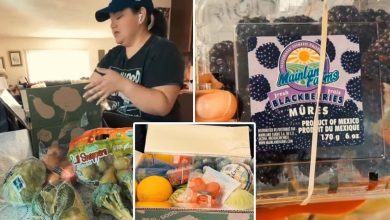 You’re paying for ‘medically tailored meals’ — sent free to illegal immigrants