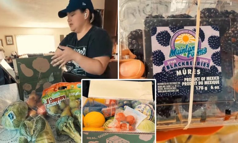 You’re paying for ‘medically tailored meals’ — sent free to illegal immigrants