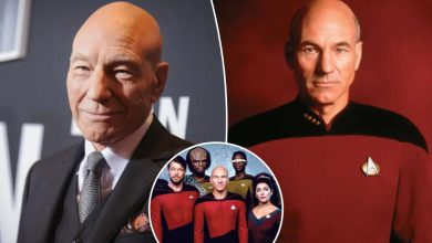 Brilliant Patrick Stewart was ‘Star Trek’s all-time greatest captain