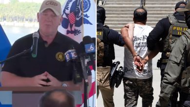 ICE deported a record number of illegal migrants in September, border czar says as he sends warning to NY